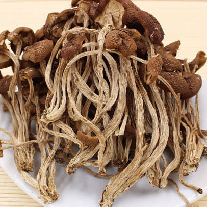 茶树菇2_p1aicmpdaopdrbl61kdupn716nl2