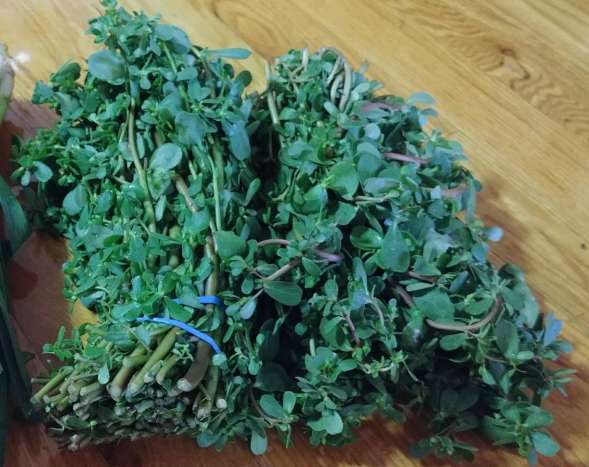 WeChat Image_20180715200809